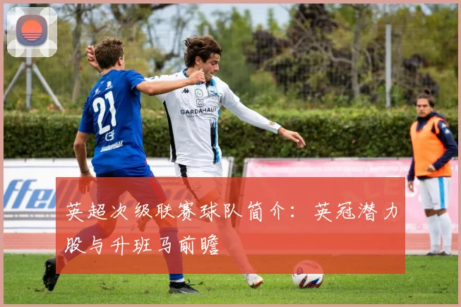 英超次级联赛球队简介:英冠潜力股与升班马前瞻