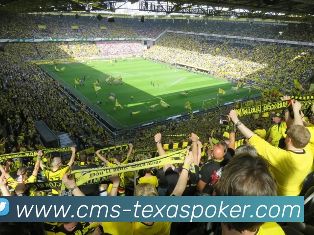 德州扑克平台生态图